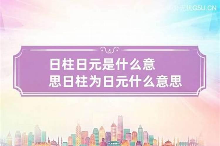 女属猴2024运势如何