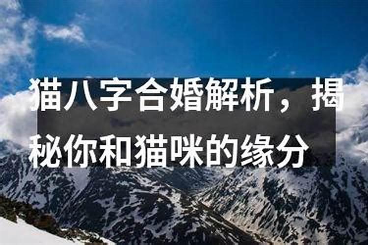 梦见蟒蛇进家是怎么回事儿啊周公解梦