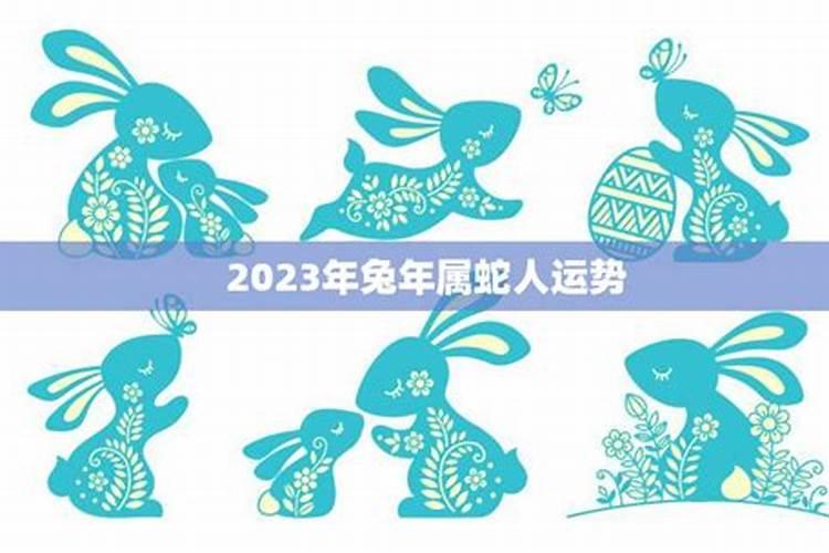 2023年兔年属蛇人运势