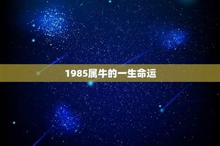 1985属牛一生运势