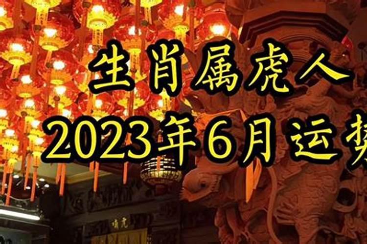 属虎人2023年6月