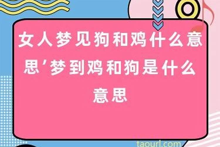 梦见鸡狗是什么意思