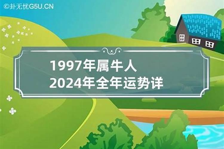 2024年运势最佳的生肖