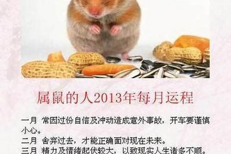 属鼠2024年运势怎么样