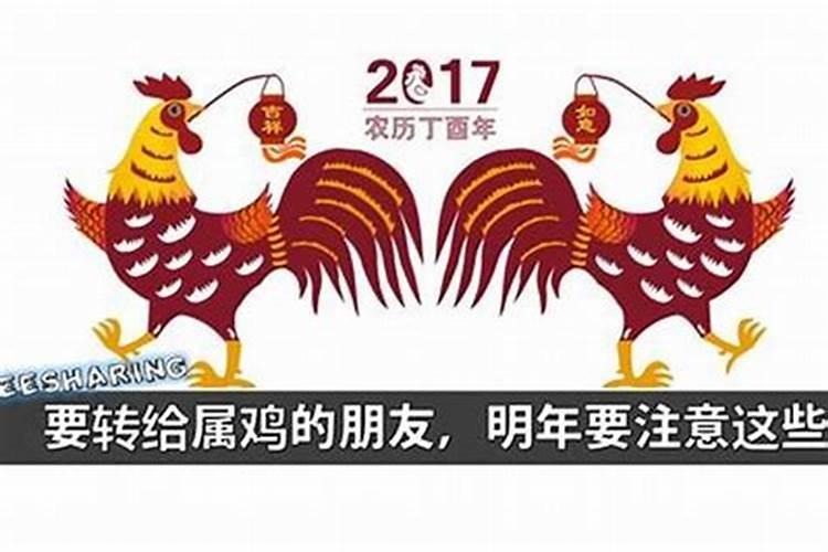 202几年是鸡的本命年吗