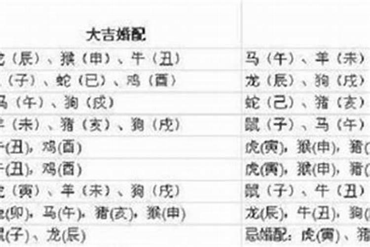 1997年男属牛的最佳配偶属相是