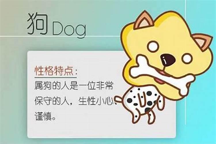 属猴的和属狗的属相合不合