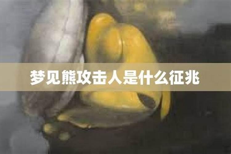 梦到和熊搏斗什么预兆