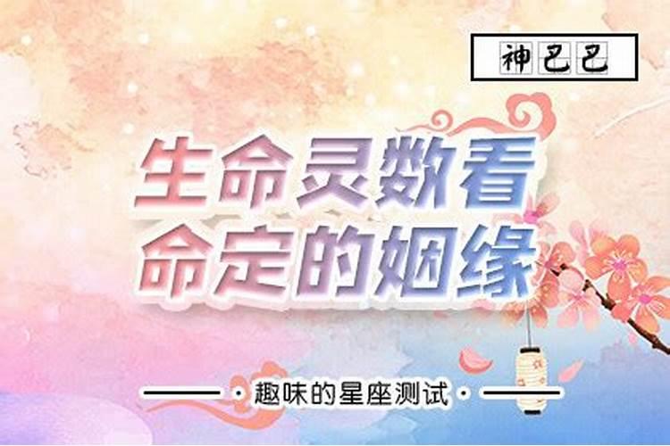 生命灵数2023桃花运运势