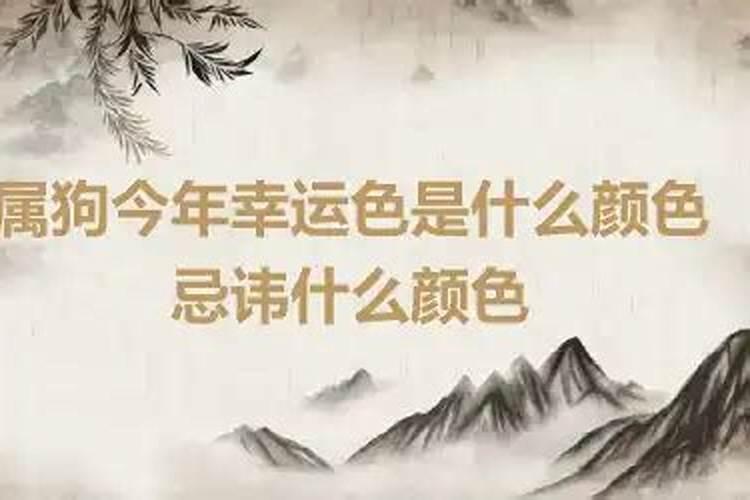 属狗今年忌讳什么