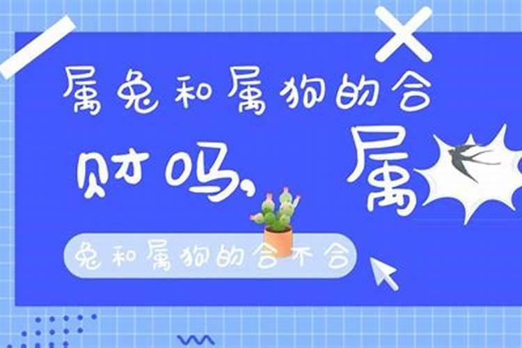 属狗与属兔八字合不合财