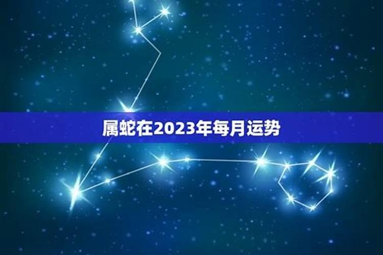 蛇2023的运势如何看