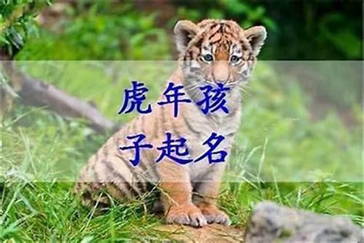 梦见别人死了在下葬什么意思