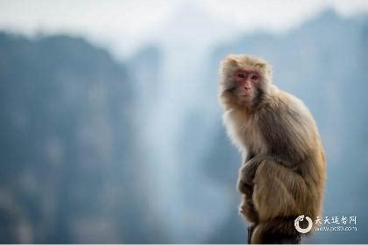 风水学,床头不可以放什么东西进去呢