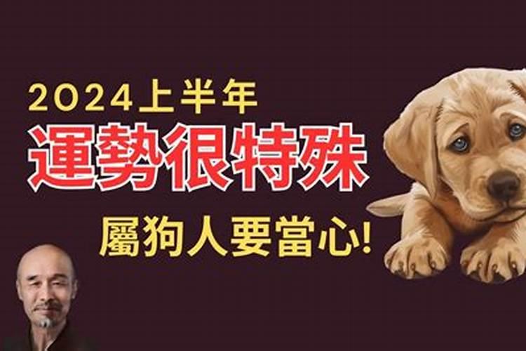 牛的2023运势如何