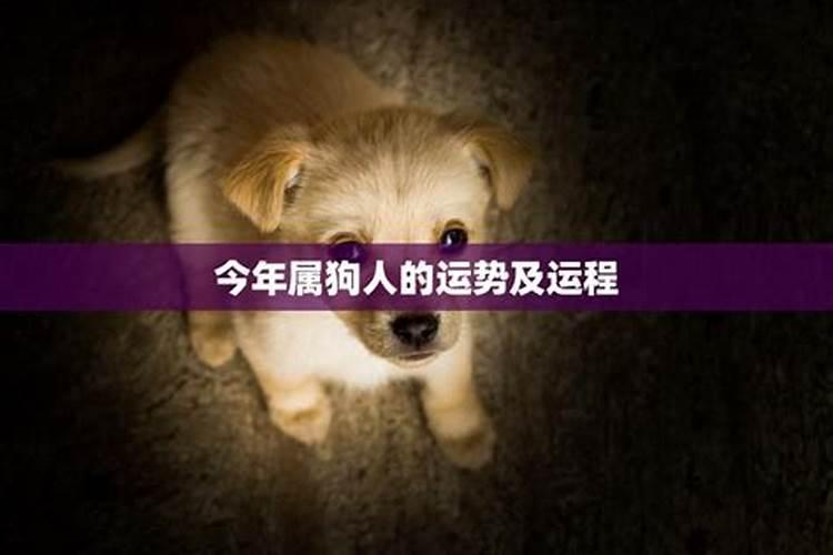 九月初九的龙运势如何