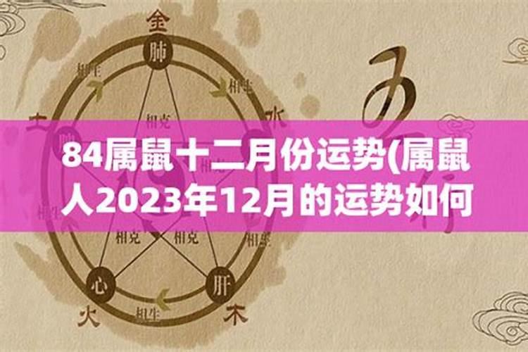 属鼠十二月份运势2023