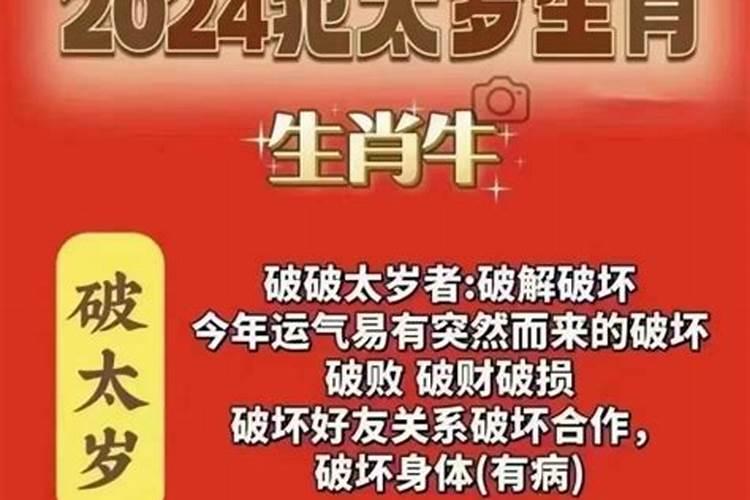 火鼠在2024年的运势