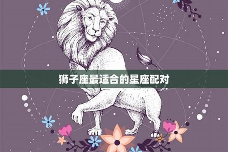 和狮子男配对的星座