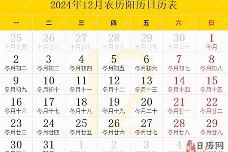 龙2023运势运程如何