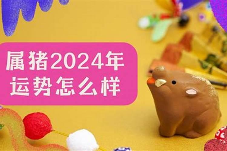 2024各生肖运势如何