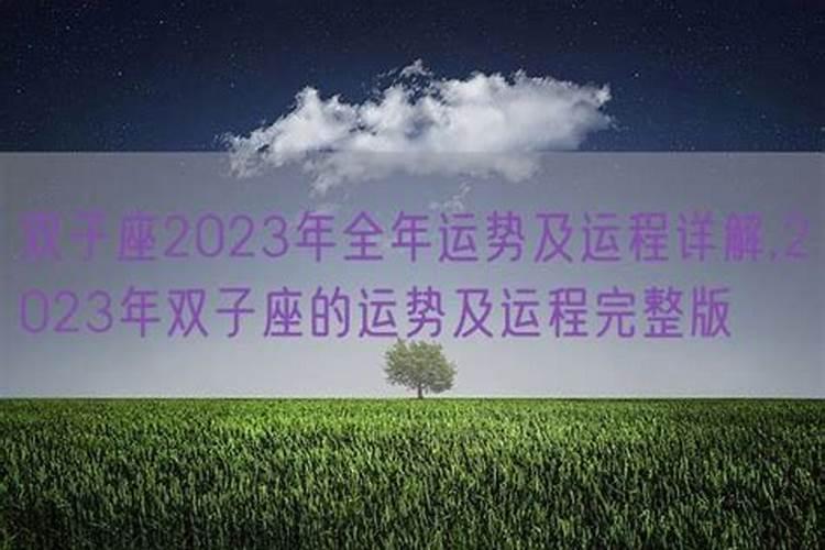 双子女事业运势2023年运程