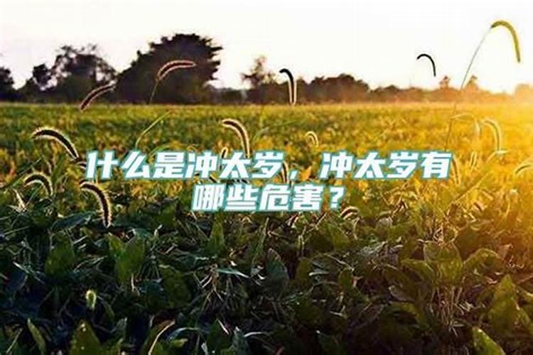 立秋是农历几月几日2023年8月9日