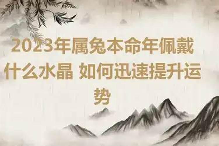 做梦梦见蔬菜是什么意思