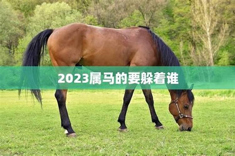 请问2024年属马的是什么命人