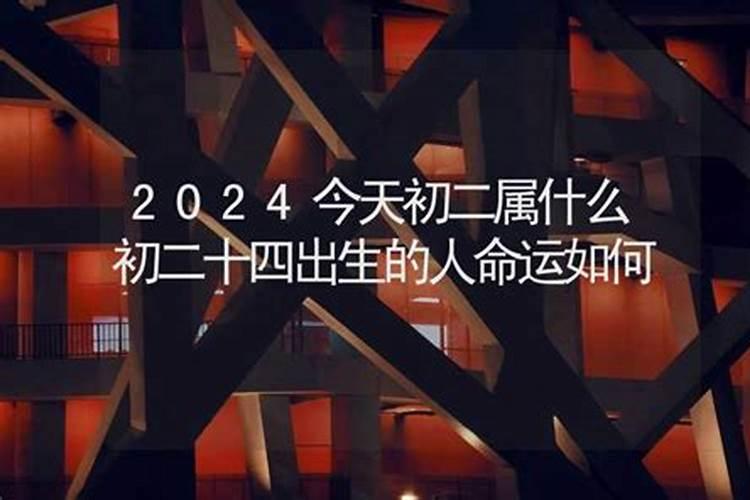 2024年生人命运