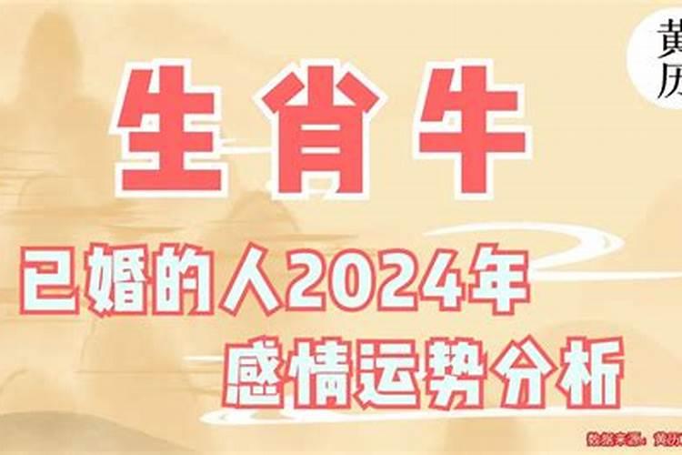 2024属牛下半年感情运势