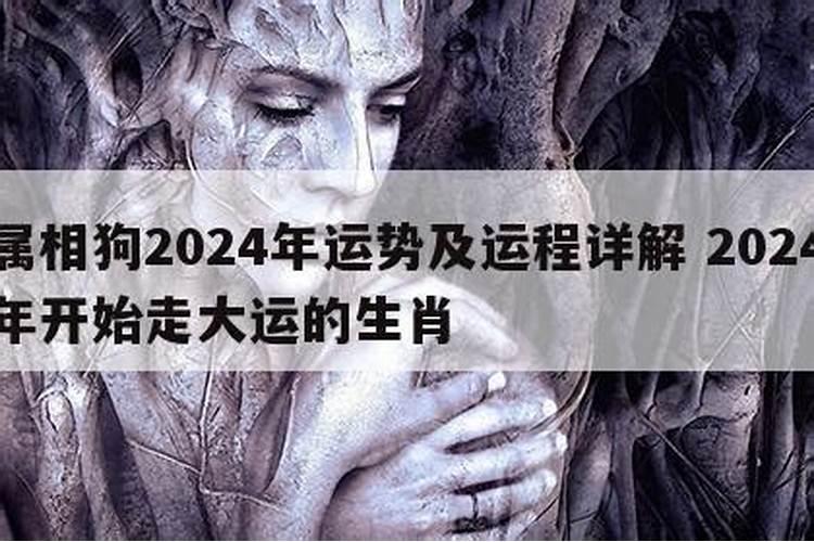 1977年生肖蛇2023年运势如何