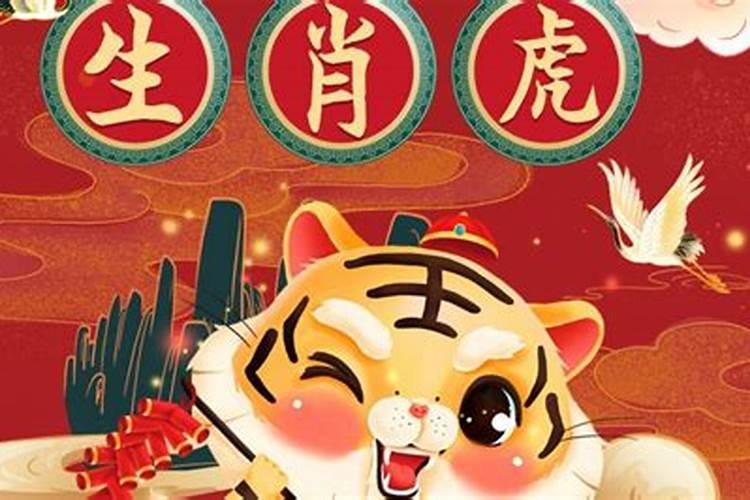 属猪人猪年运势2023年运程如何