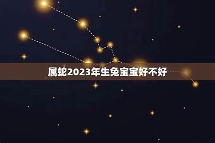 2023年属蛇人全年运势男宝宝