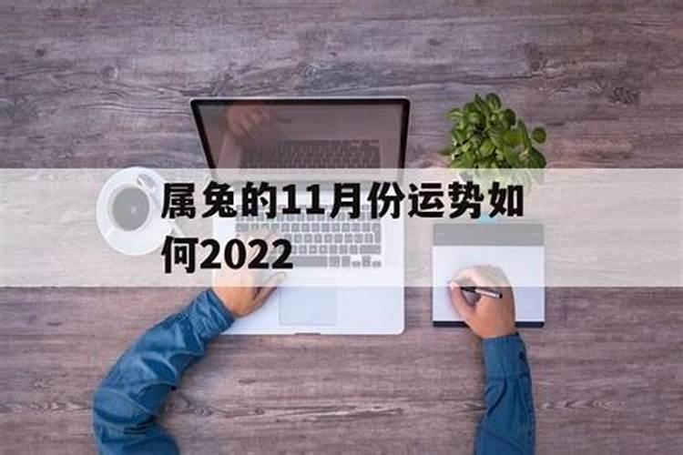 属兔的11月份的运势如何