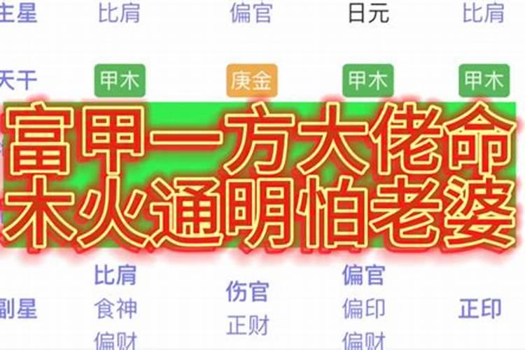 属虎本命年适合戴什么玉坠