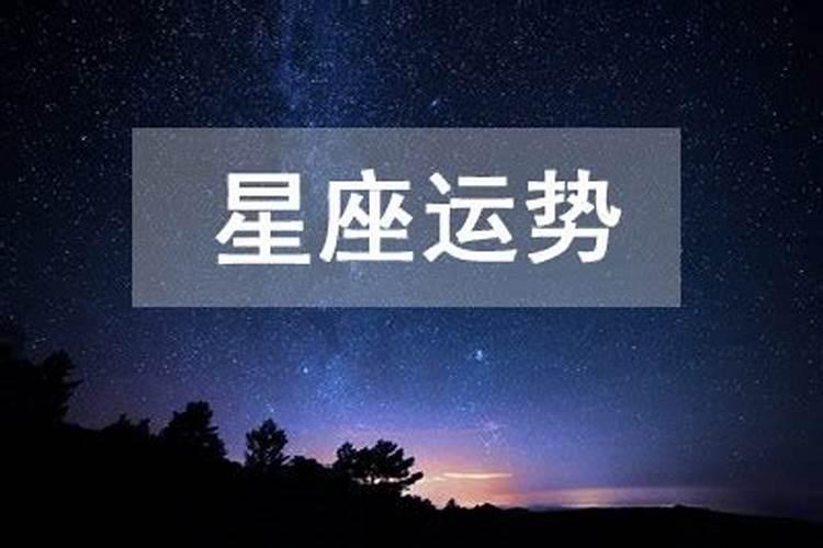 属马的人今年会下雪吗为什么