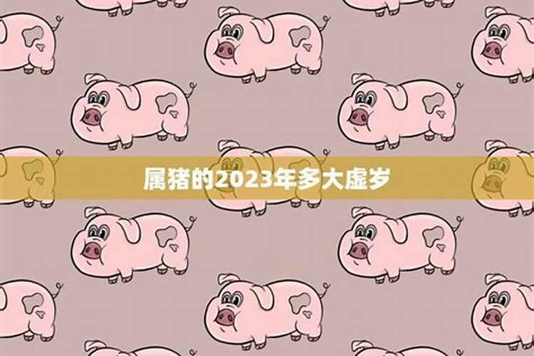 属猪2023年多大年龄出生