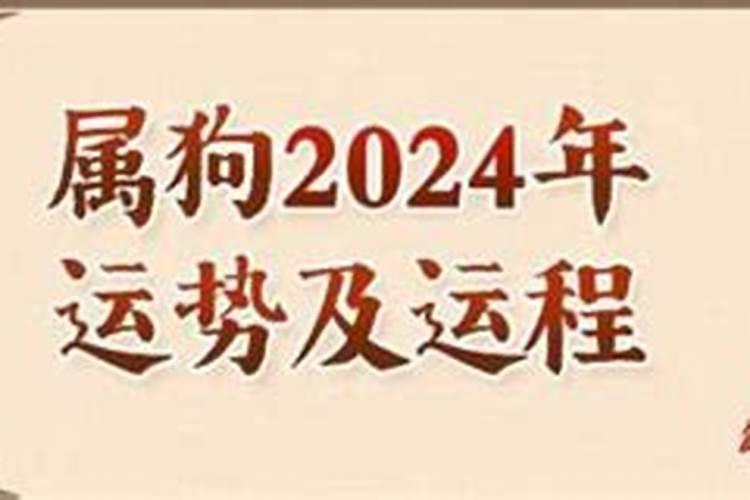 82年出生的属狗男2024年运势