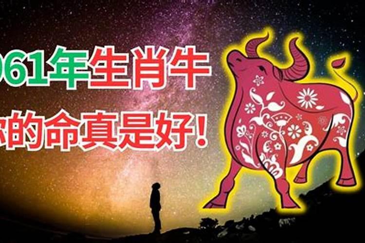 属相鸡2019年运势大全