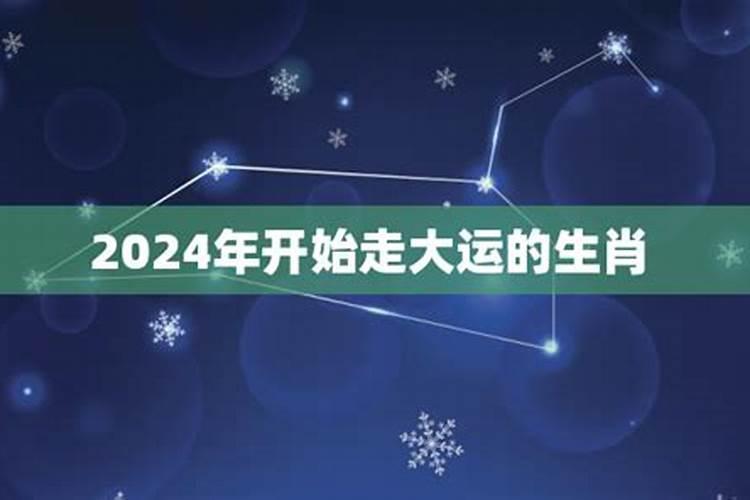 86年虎男2024年运势怎么样