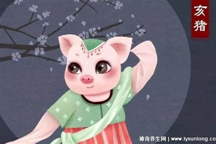 71年的猪今年运势如何