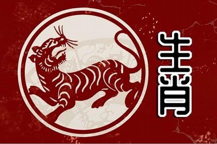 兔子今年冲太岁吗好不好