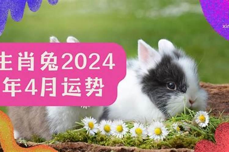 属猪的人2024年运势运程卜易居