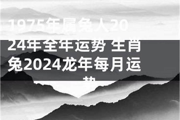 80年猴子2024运势如何