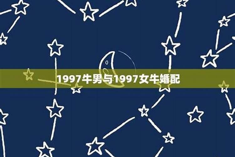 属马2022年适合结婚吗