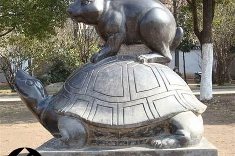 梦到乌龟石头雕像