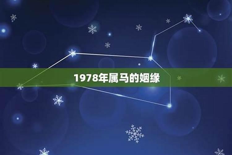 66年属马男人2021年运势