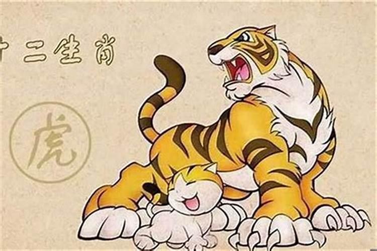 属鼠的和属猪的八字好不好呢怎么看