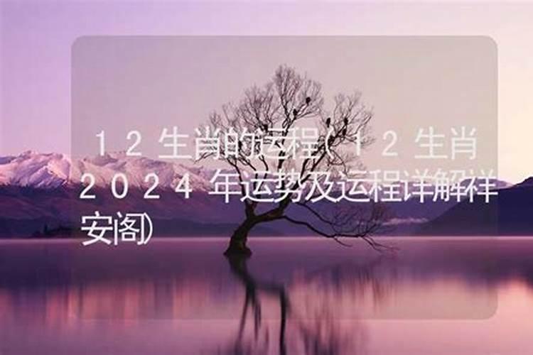 2024运势12生肖运势